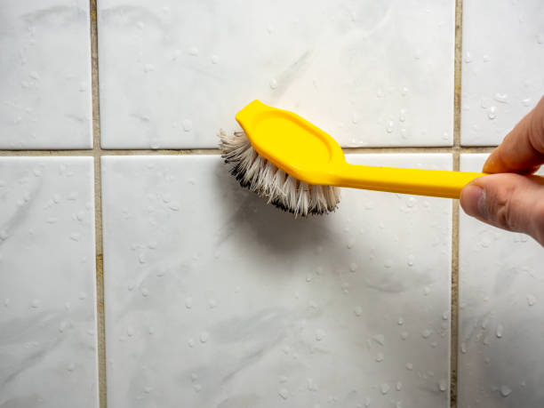 Best DIY Mold Remediation Support Services in Lakeland Highlands, FL